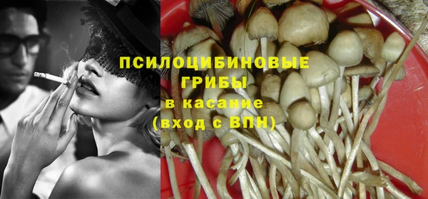 ПСИЛОЦИБИНОВЫЕ ГРИБЫ Алексин